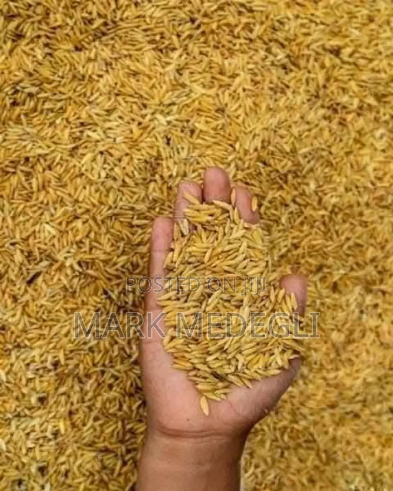 Paddy Rice Available in Adaklu Volta Ghana