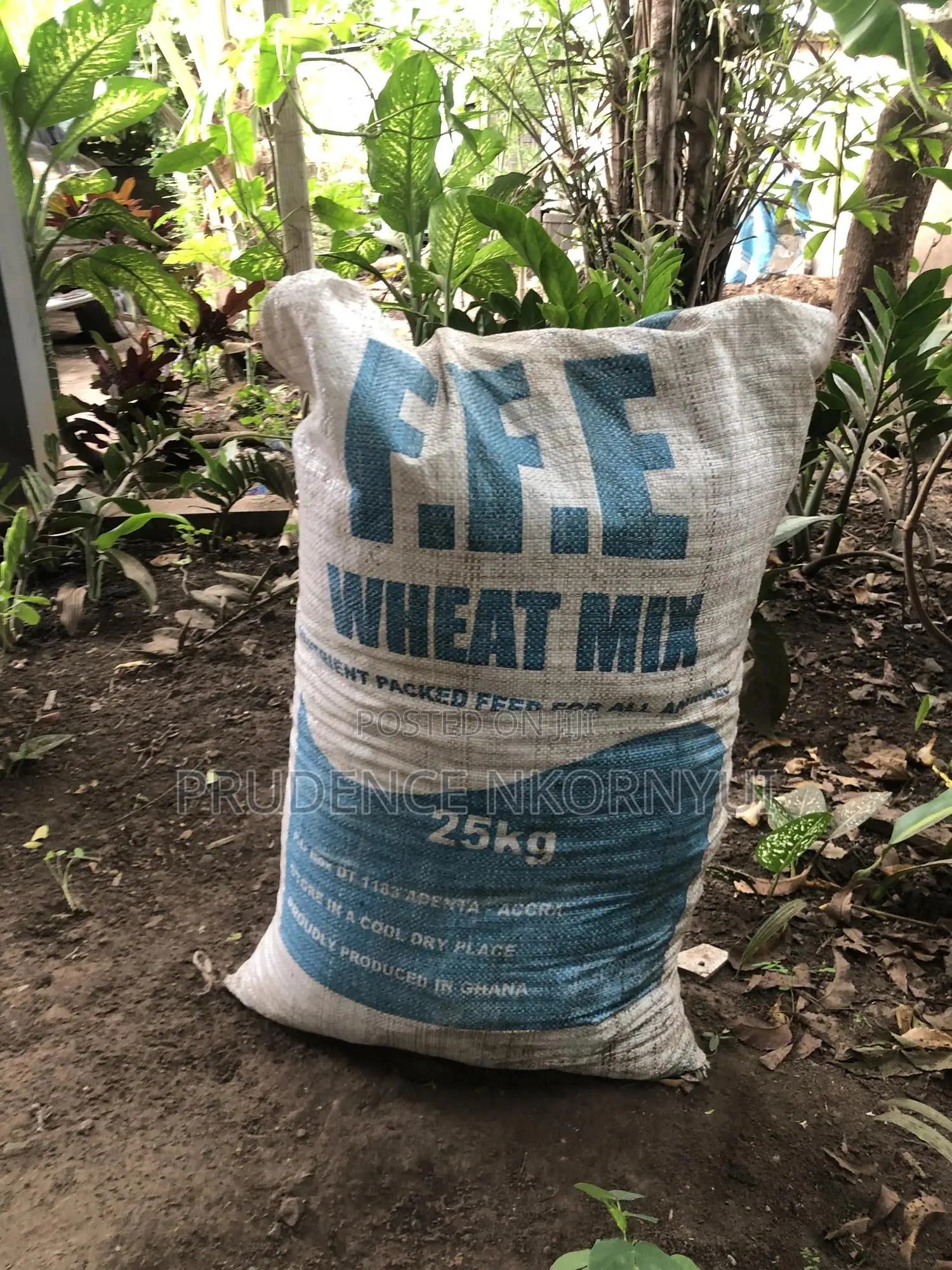 Organic Fertilizer