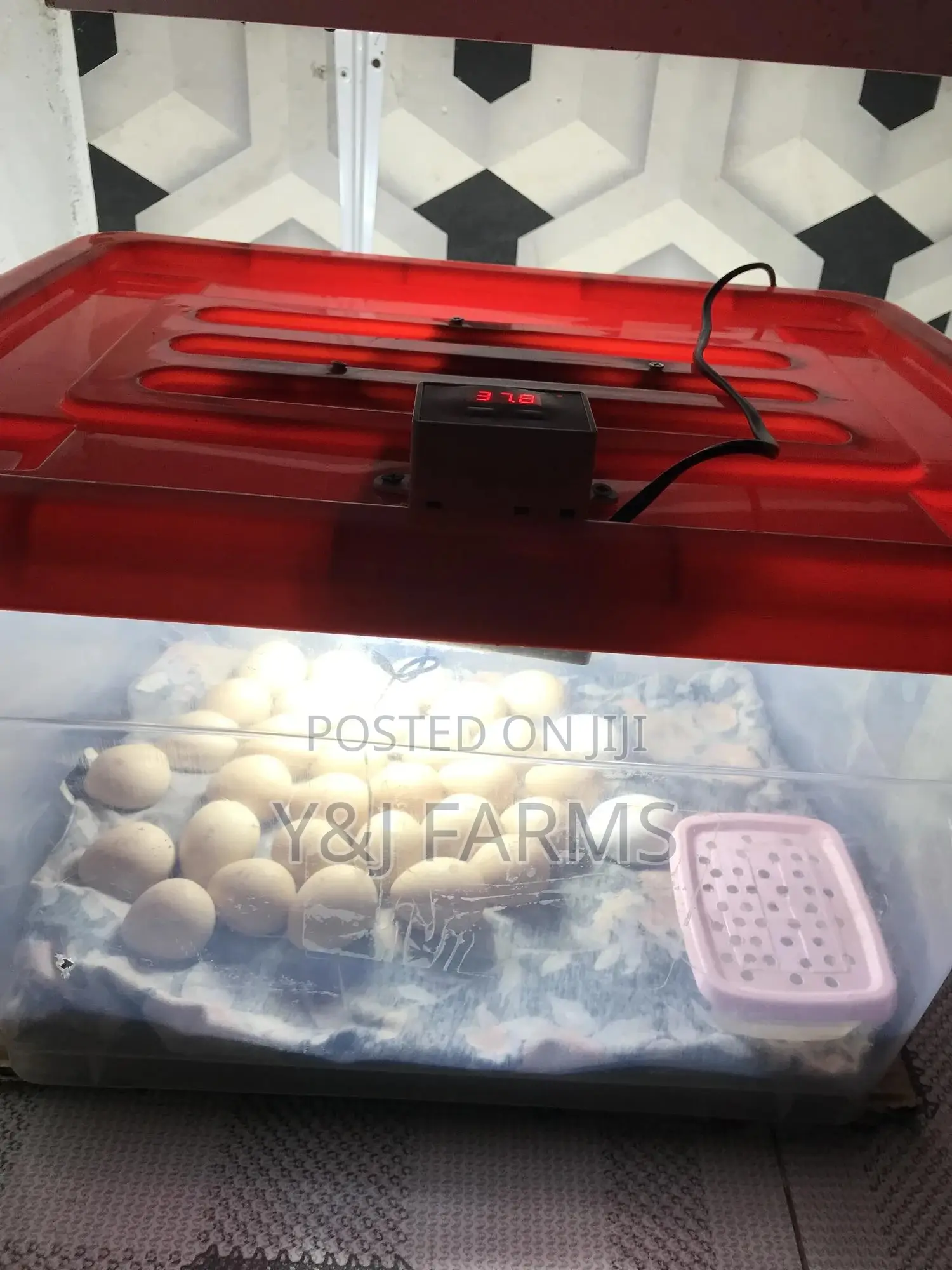 Homemade Egg Incubator