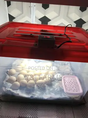 Homemade Egg Incubator