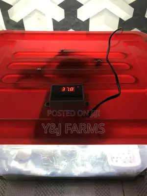 Homemade Egg Incubator