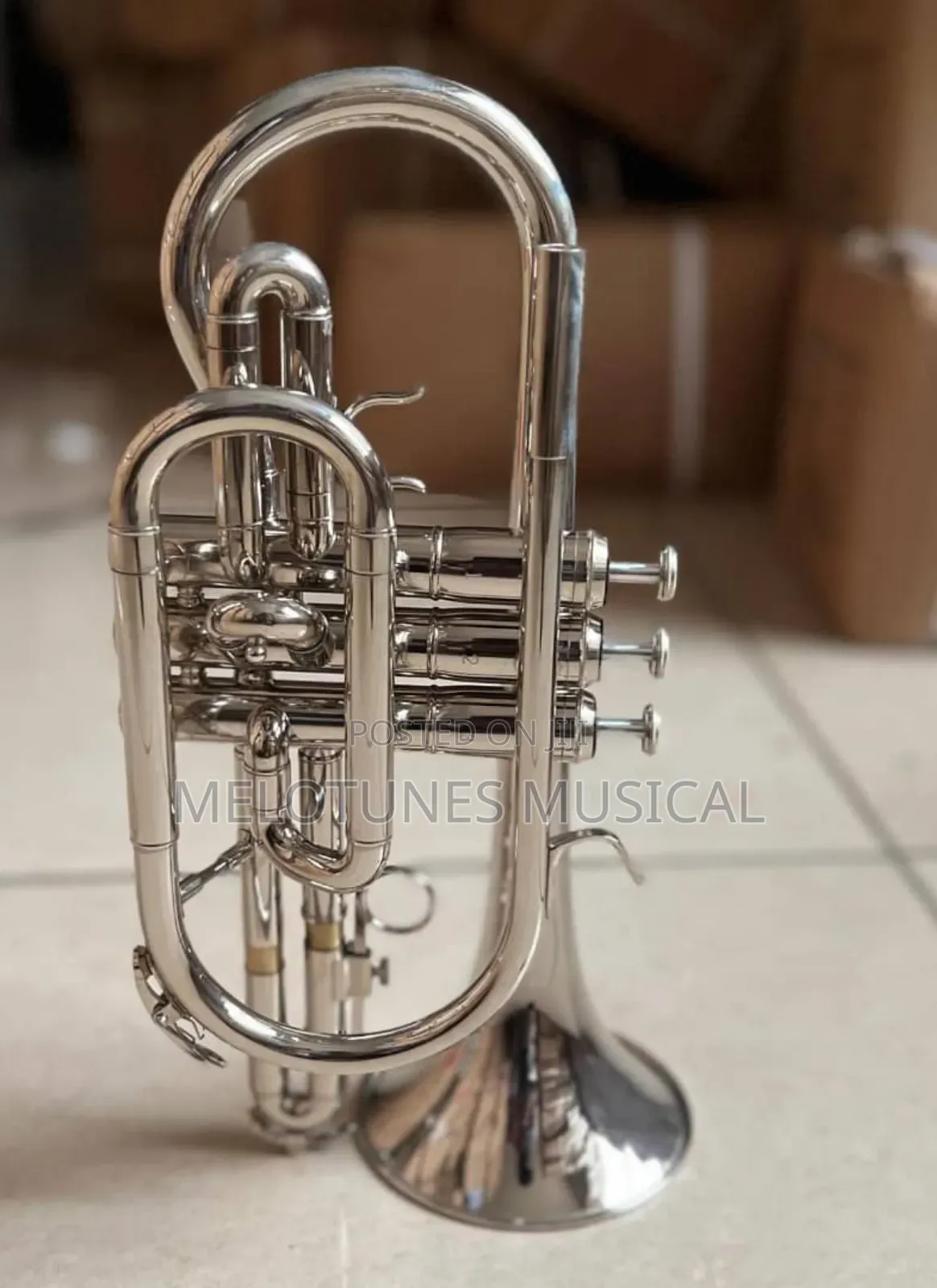Titanic Professional Euphonium