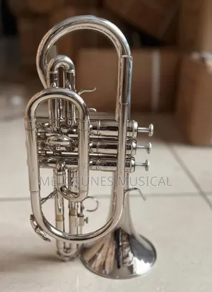 Titanic Professional Euphonium