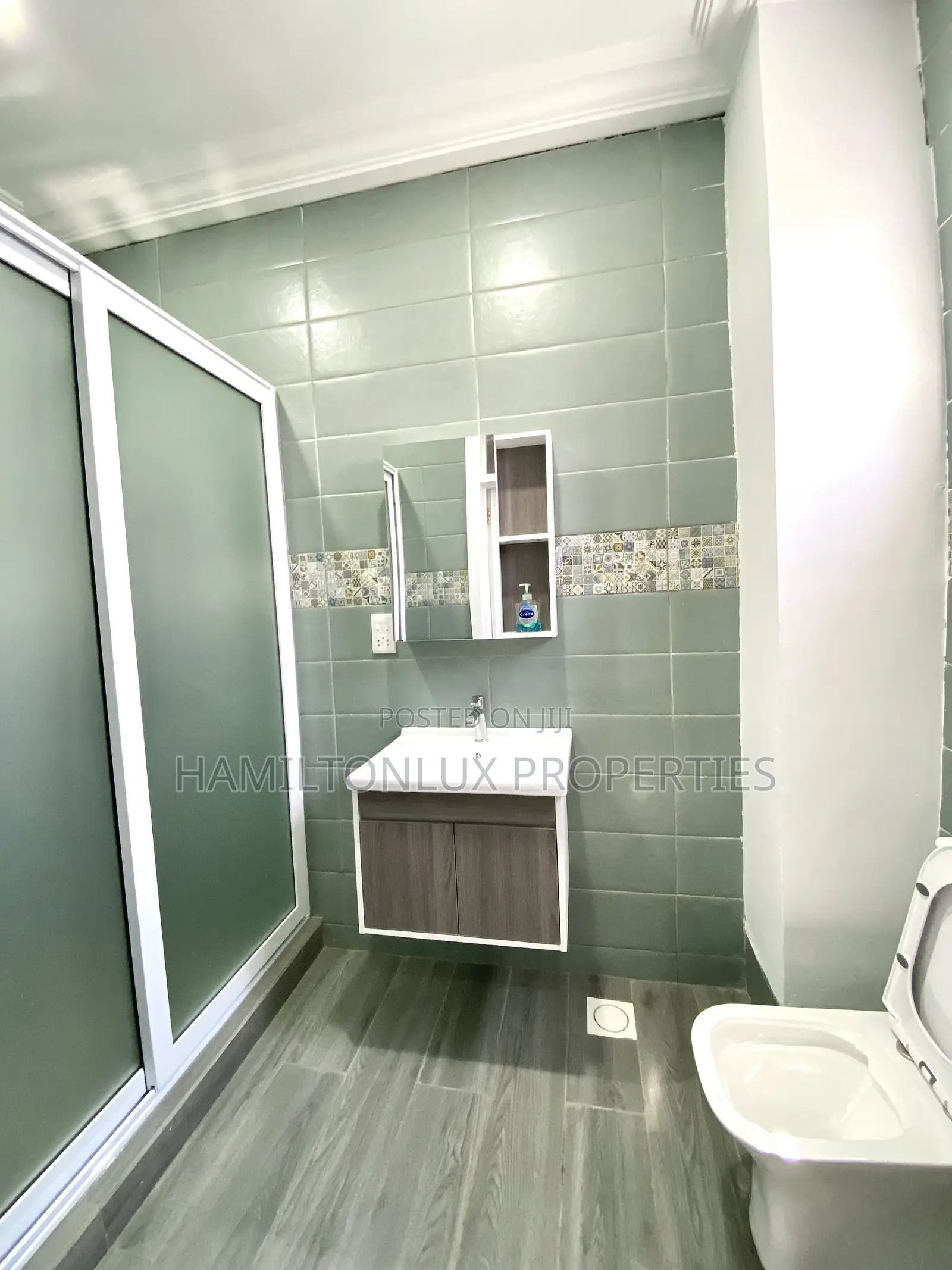 Furnished 2bdrm Apartment in Tseaddo for rent