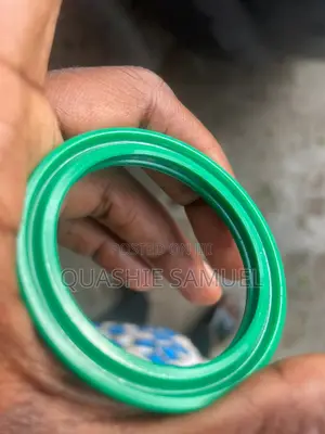 Hydraulic Seals