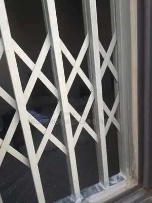 Doors Spraying or Window Spraying