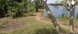 2 Plots 4 Sale at Adenta Housing Down