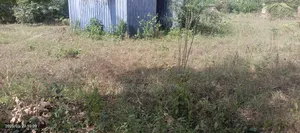 2 Plots 4 Sale at Adenta Housing Down