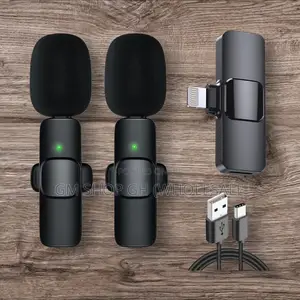 2 in 1 Wireless Microphone (743578)