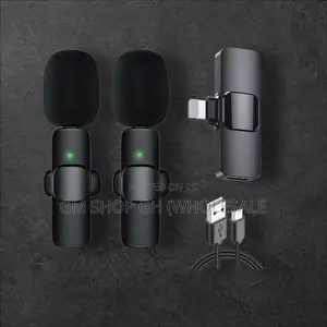 2 in 1 Wireless Microphone (743578)