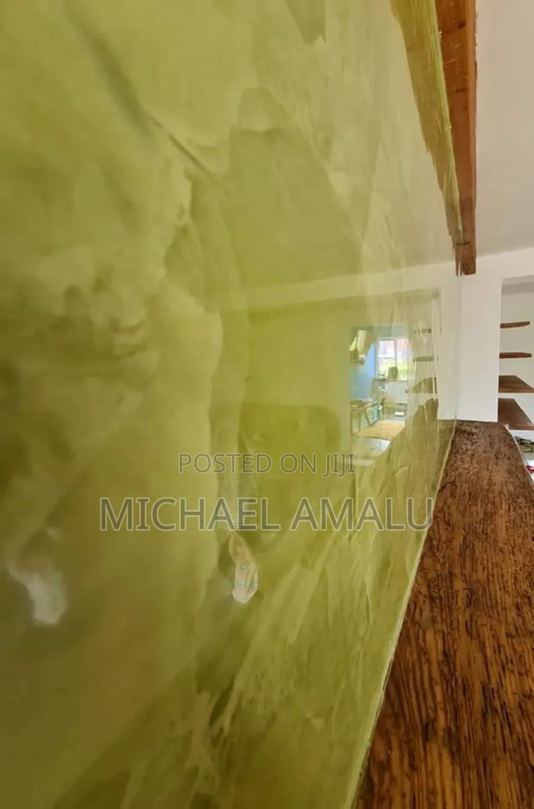 Professional Painter, Stucco and Venetian Marble Painting Services.