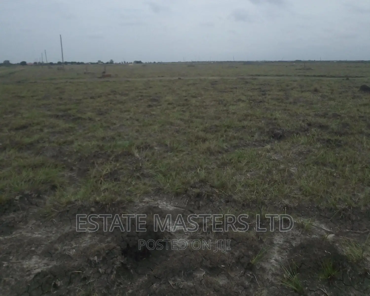 Plots Demarcated and Serviced