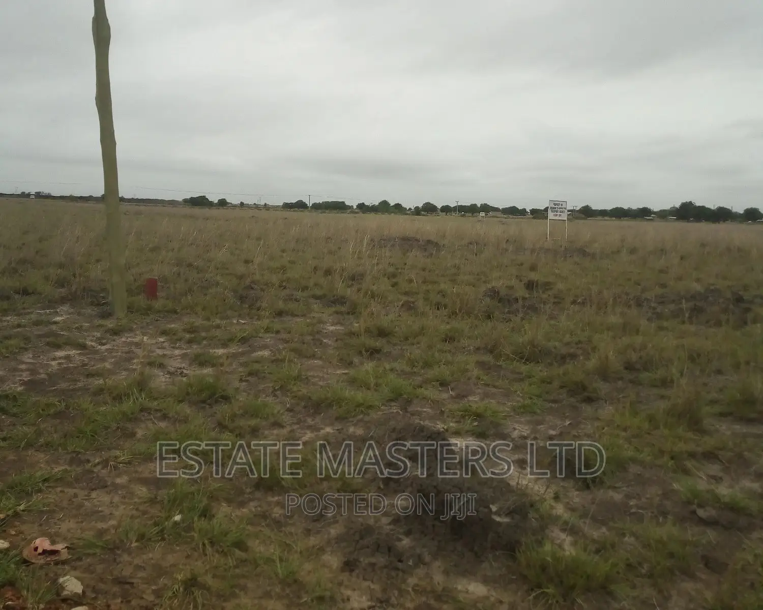 Plots Demarcated and Serviced