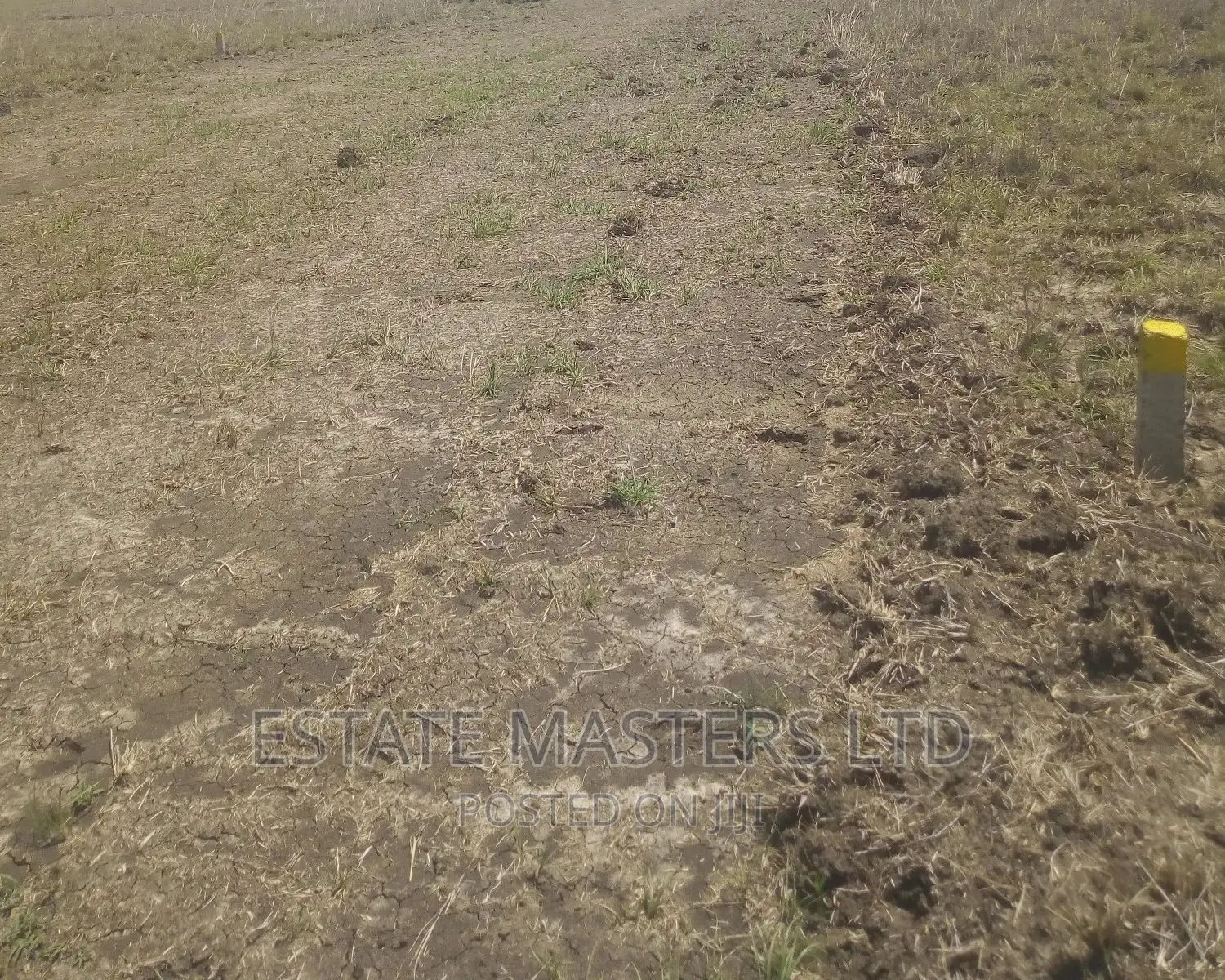 Plots Demarcated and Serviced