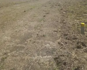 Plots Demarcated and Serviced