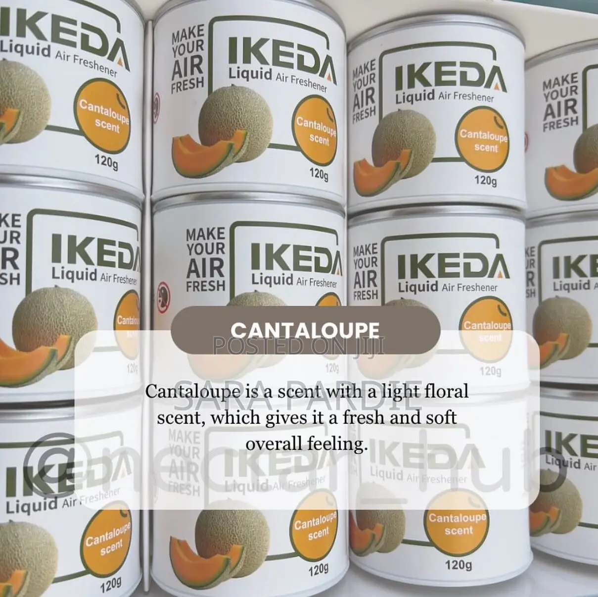 Ikeda Air Freshener