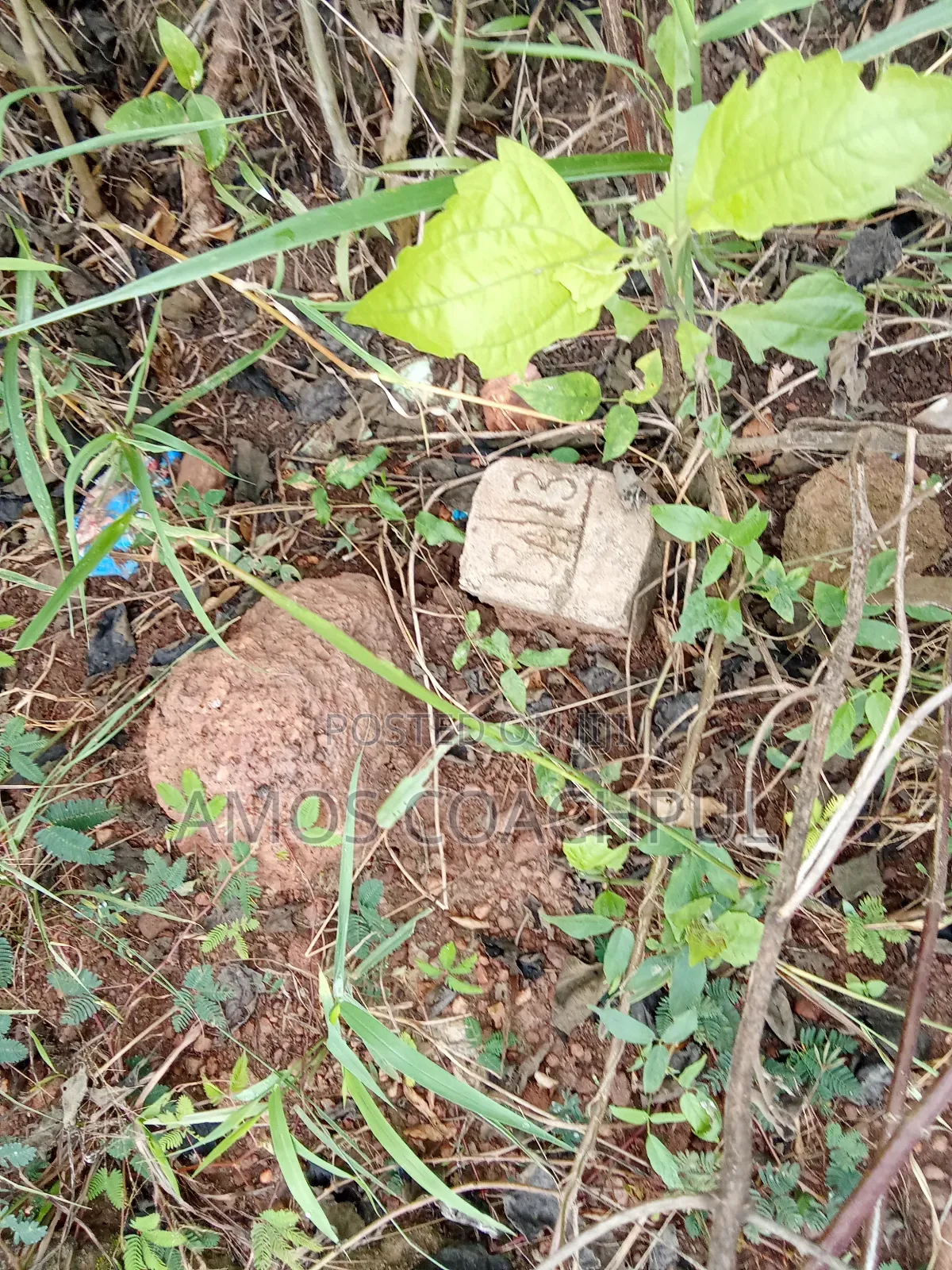 Sunyani -Yawhima Roadside Plot