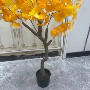 Rare Faux Ginkgo Bonsai Plant Available in (150cm)
