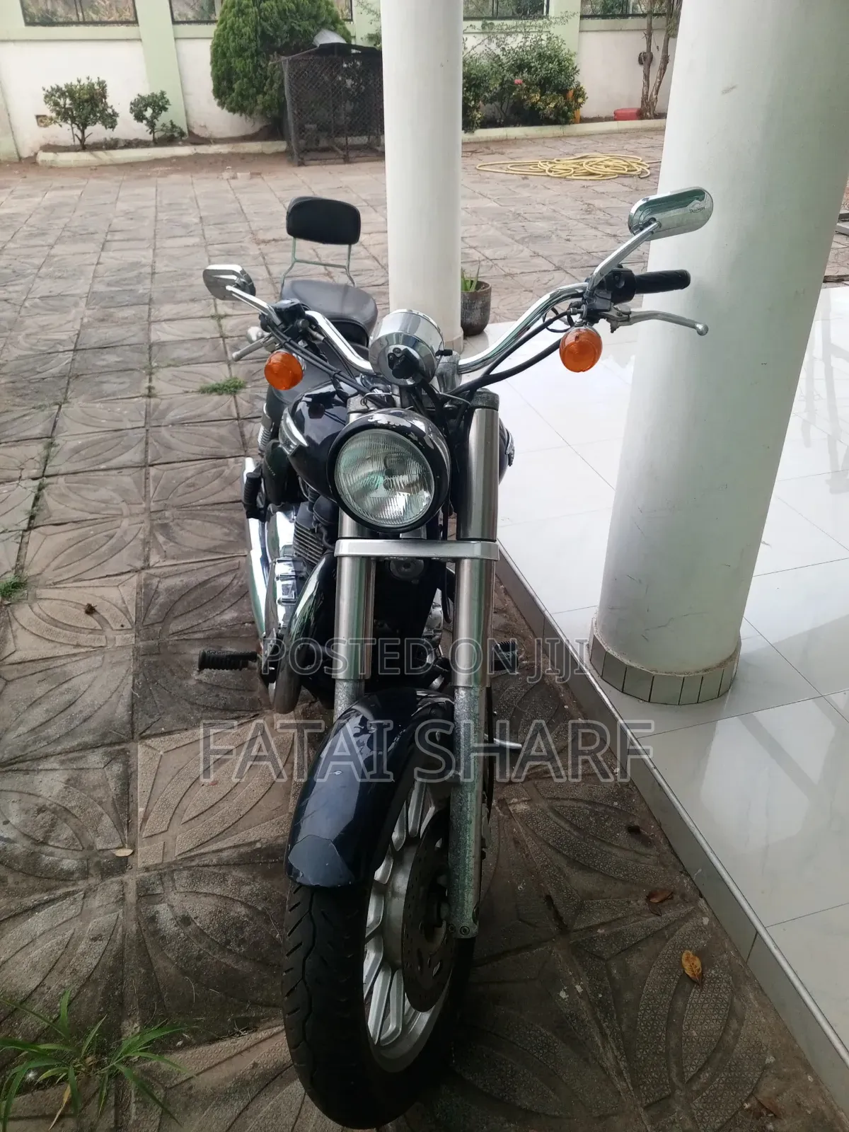 Triumph 2020 Black