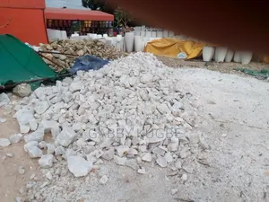 Beautiful Your Garden With White Stones.