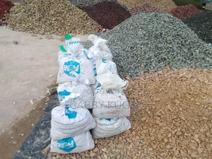 Beautiful Your Garden With White Stones.