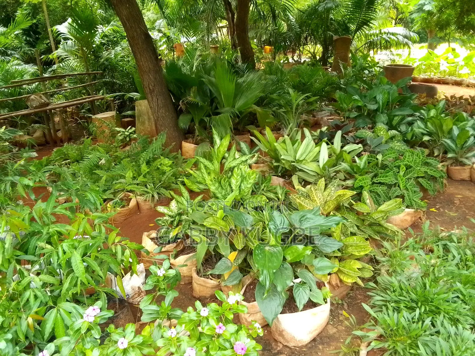 Beautiful Your Garden With White Stones.