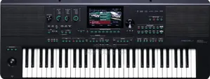 Pro Medeli Akx10 Arranger Keyboard ( Read Description )