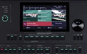 Pro Medeli Akx10 Arranger Keyboard ( Read Description )