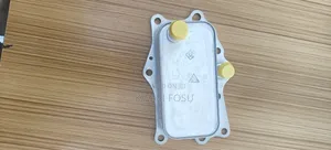 Chevrolet Captiva, Orlando,Engine Oil Cooler