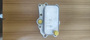Chevrolet Captiva, Orlando,Engine Oil Cooler