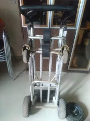 4 In 1 Cosco Hybride Trolley
