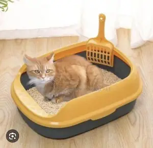 Morden Open Catlitter Box