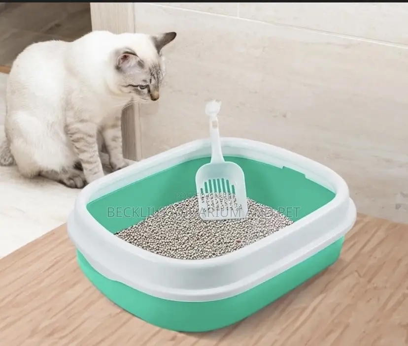 Morden Open Catlitter Box