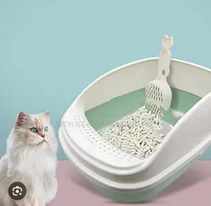 Morden Open Catlitter Box