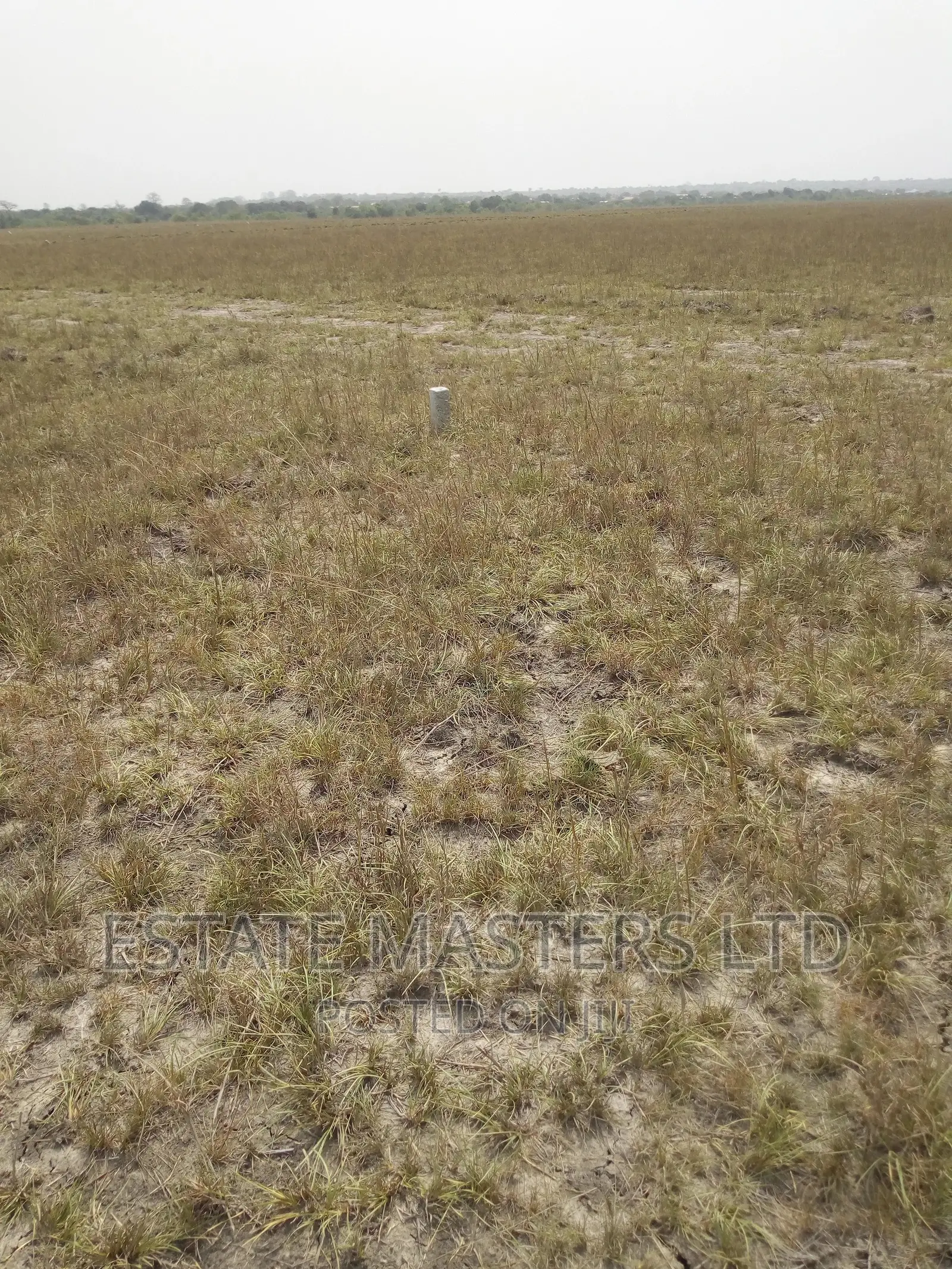 Nice Estate Plots