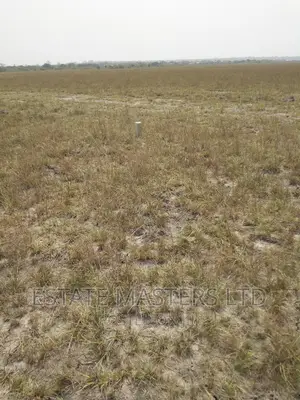 Nice Estate Plots