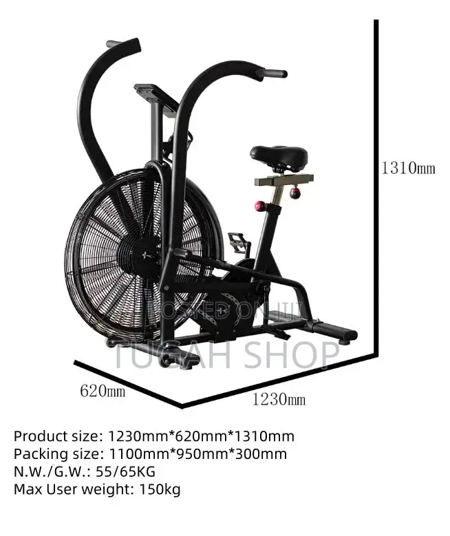 Air Assualt Exercise Bike