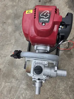 1 Inch, 4 Stroke Small Engine Pump