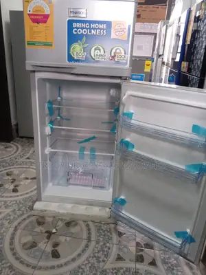 Large Capacity Nasco 95l Double Door Family Refrigerator