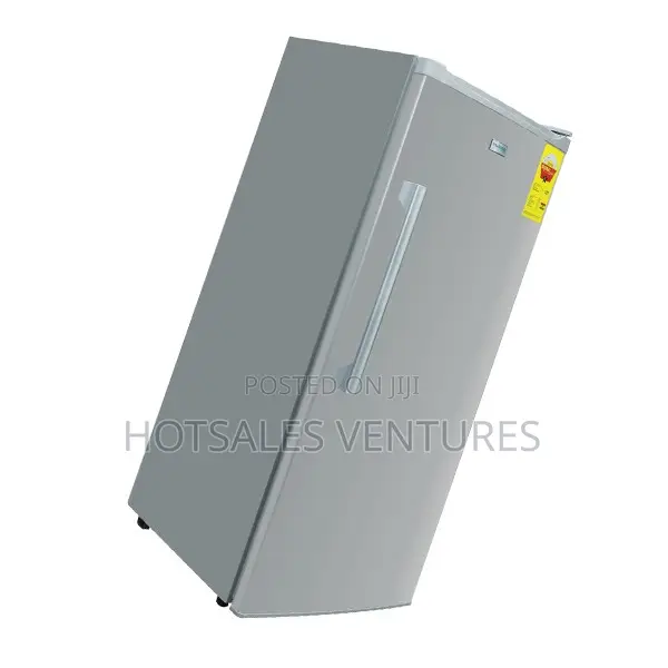 Affordable Nasco 150 Litres Standing Freezer - Nasd1-225fl