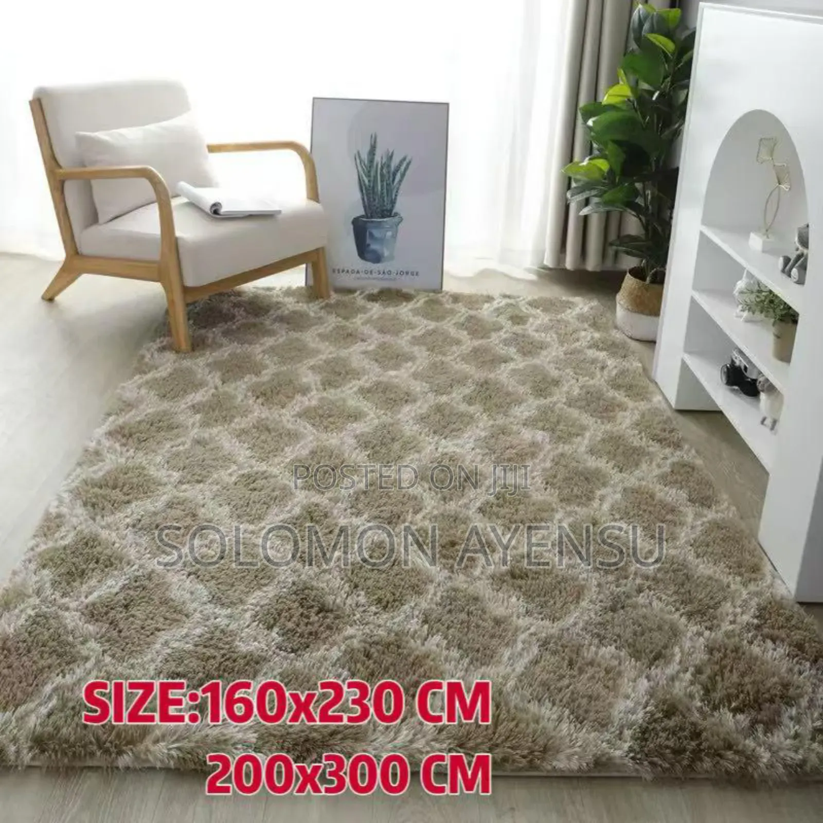 Carpet for Living Room