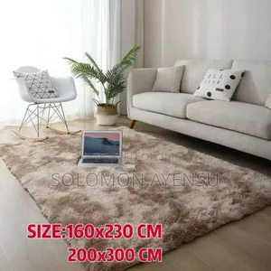 Carpet for Living Room