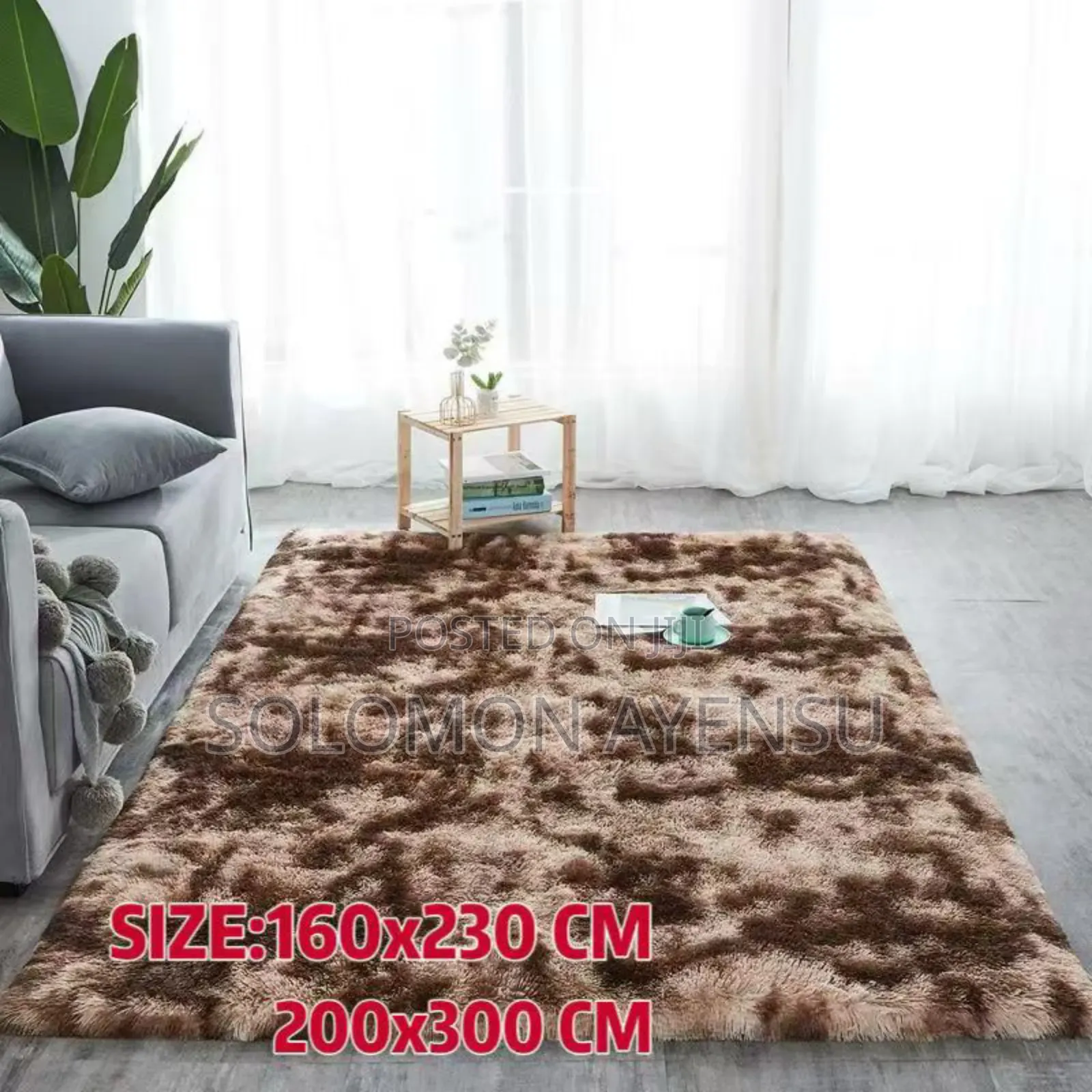 Carpet for Living Room