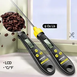 2 In 1 Probe Spoon Food Thermometer