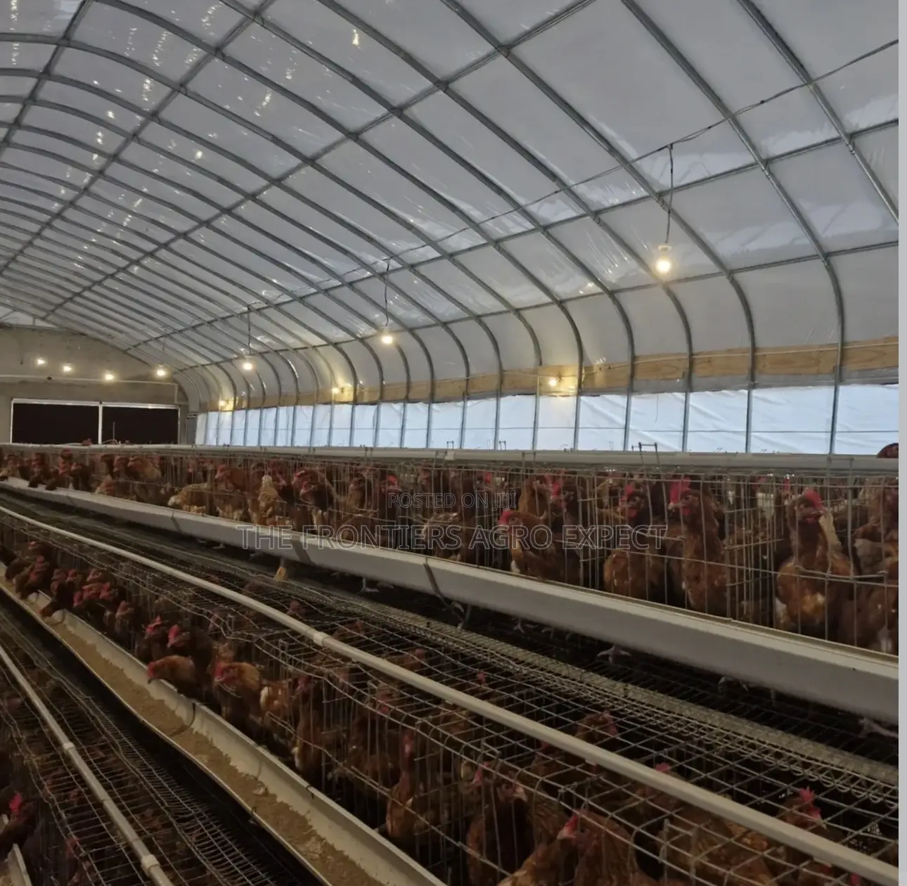 Poultry Coop With Battery Cages