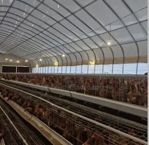 Poultry Coop With Battery Cages