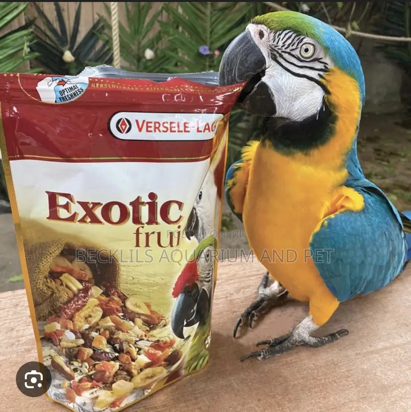 Exotic Parrot Food Mix With Fruit