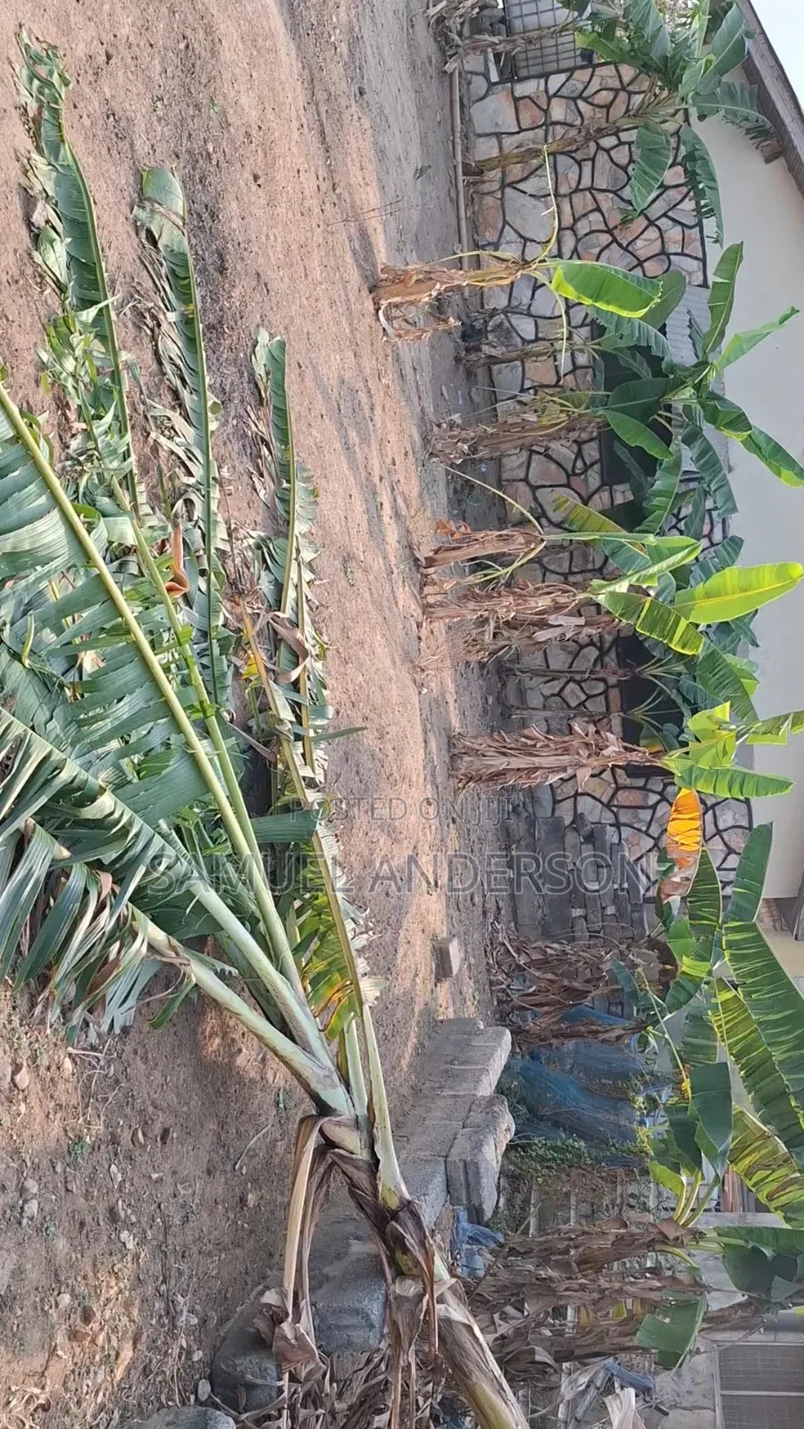Land for Sale at Tema