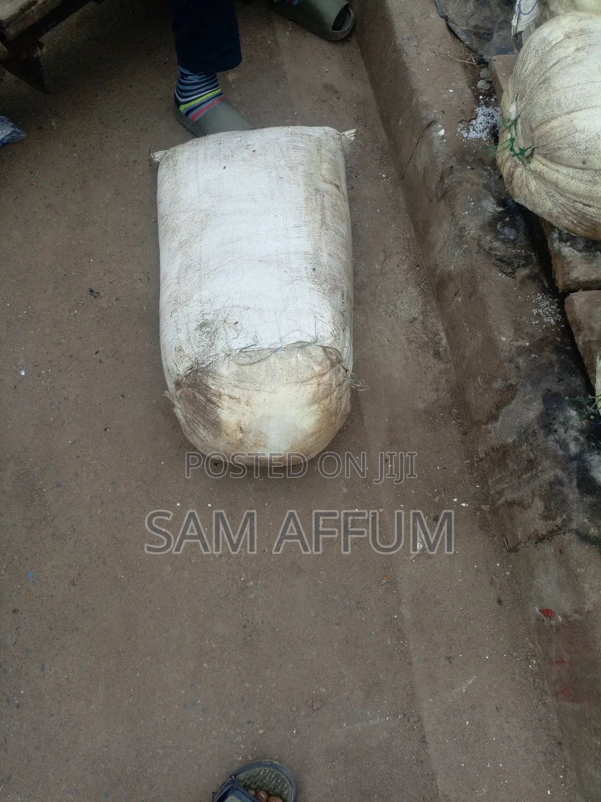 Fresh Cassava Dough