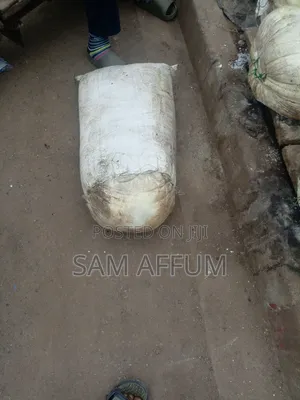 Fresh Cassava Dough